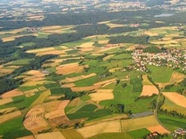 Αγγελία 231120201630, Φωτογραφία 0, Πολείται Αγροτεμάχιο &nbsp; Βεργίνα Ημαθίας &nbsp; Βεργίνας &nbsp;/Ημαθίας/. Ακίνητα προς πώληση.