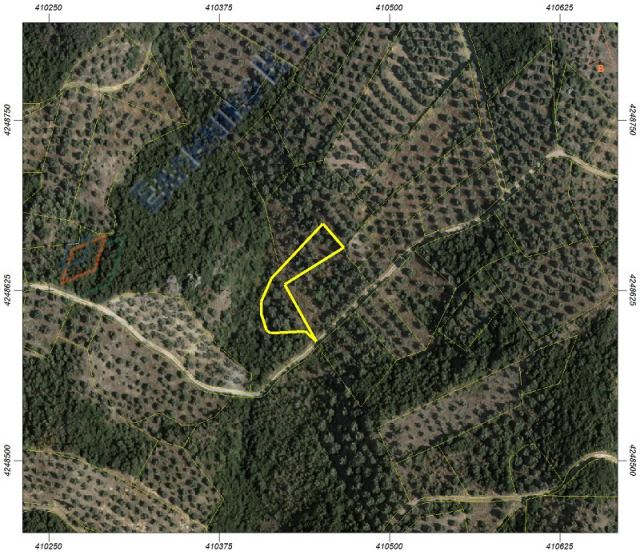 Αγγελία 251020165323, Φωτογραφία 0, Πολείται Αγροτεμάχιο &nbsp; Κοινότητα Αγία Παρασκευή, Κορώνεια &nbsp; Κορώνειας &nbsp;/Βοιωτίας/. Ακίνητα προς πώληση.