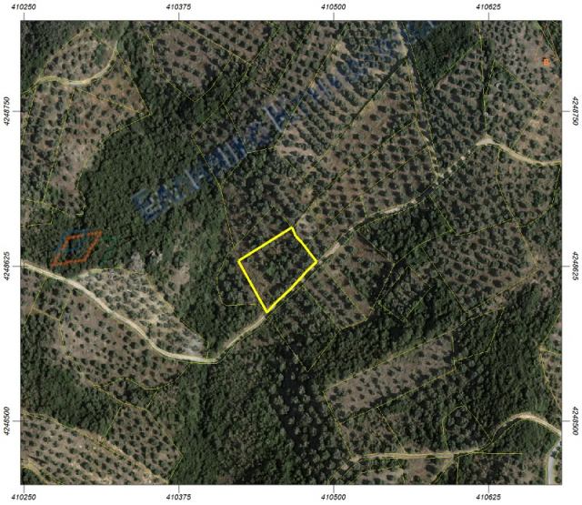 Αγγελία 251020165323, Φωτογραφία 1, Αγροτεμάχιο &nbsp; Κοινότητα Αγία Παρασκευή, Κορώνεια &nbsp; Κορώνειας &nbsp;/Βοιωτίας/ προς πώληση