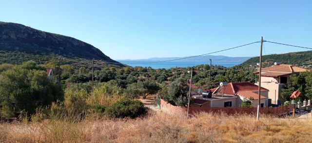 Αγγελία 260608012252, Φωτογραφία 0, Πολείται Οικόπεδο &nbsp; Κατελειος &nbsp; Ελειού - Πρόνων &nbsp;/Κεφαλληνίας/. Ακίνητα προς πώληση.
