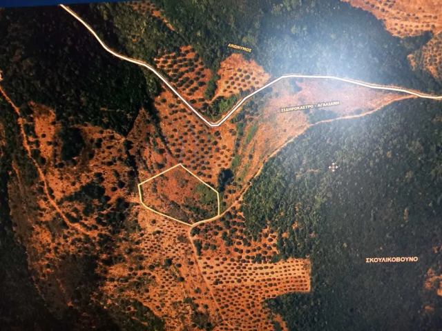 Αγγελία 260915200233, Φωτογραφία 1, Αγροτεμάχιο &nbsp; Αγαλιανη &nbsp; Αυλώνος &nbsp;/Μεσσηνίας/ προς πώληση