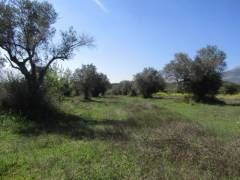 Φώτο Σπίτι - ακίνήτο 210