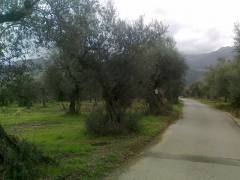 Φώτο Σπίτι - ακίνήτο 285