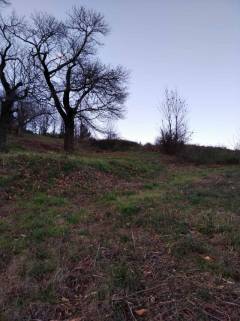 220828174243: Parzelle, 600000€ Agios Dimitrios Mouresiou