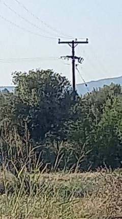 221107211643: Landwirtschaftsflaeche 350000€ Neochori Istiaias