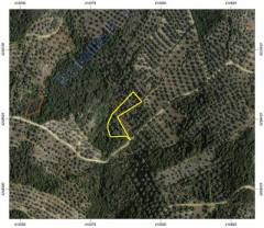 251020165323: Αγροτεμάχιο 3000€ Κοινότητα Αγία Παρασκευή, Κορώνεια Κορώνειας