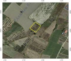 251020170410: Αγροτεμάχιο 3000€ Κοινότητα Αγία Παρασκευή, Κορώνεια Κορώνειας