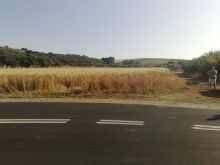 Αγροτεμάχιο 4750τμ στην περιοχή Κομίτσα