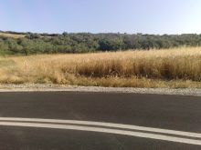 Αγροτεμάχιο 4750τμ στη Νέα Ρόδα
