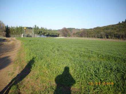 Το αγροτεμάχιο, 4750τμ - Κομίτσα, Νέα Ρόδα, Χαλκιδικής