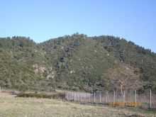 Αγροτεμάχιο στη Νέα Ρόδα, Χαλκιδικής